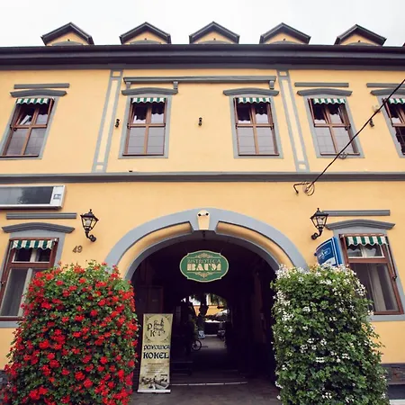 Hotel Kokel Dumbraveni (Sibiu)